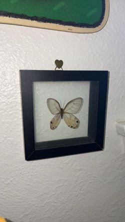 Butterfly decor