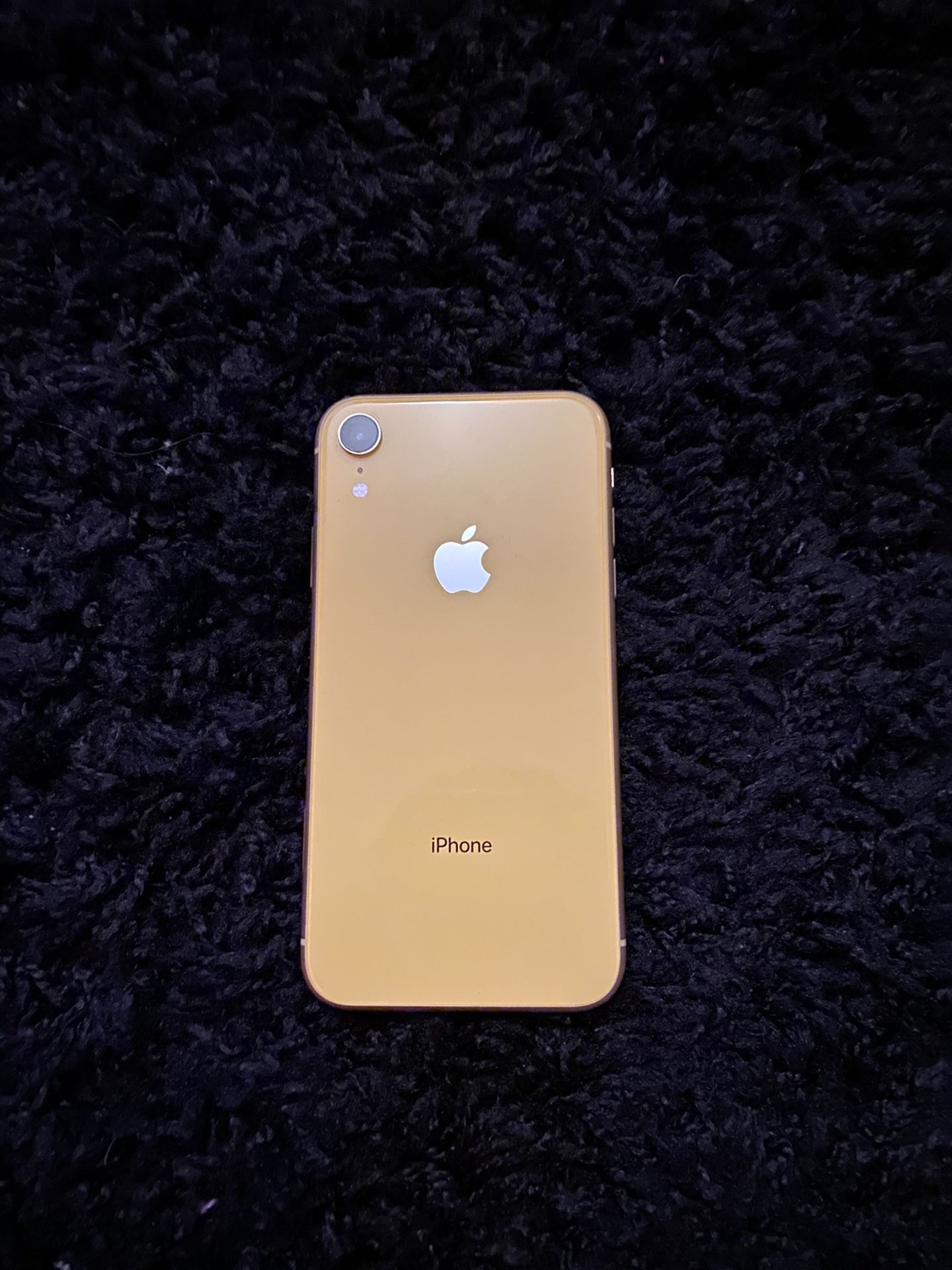 iPhone XR