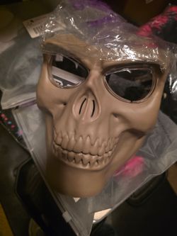 Skull Face Mask