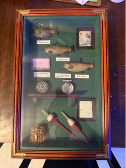 Fish shadowbox