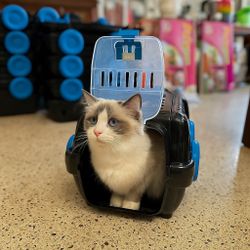FREE Pet Carrier — First Come, First Served