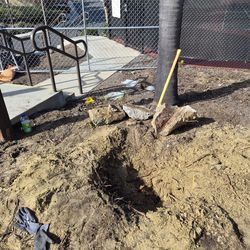 Dirt clean free dileviry