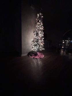6ft flocked christmas tree