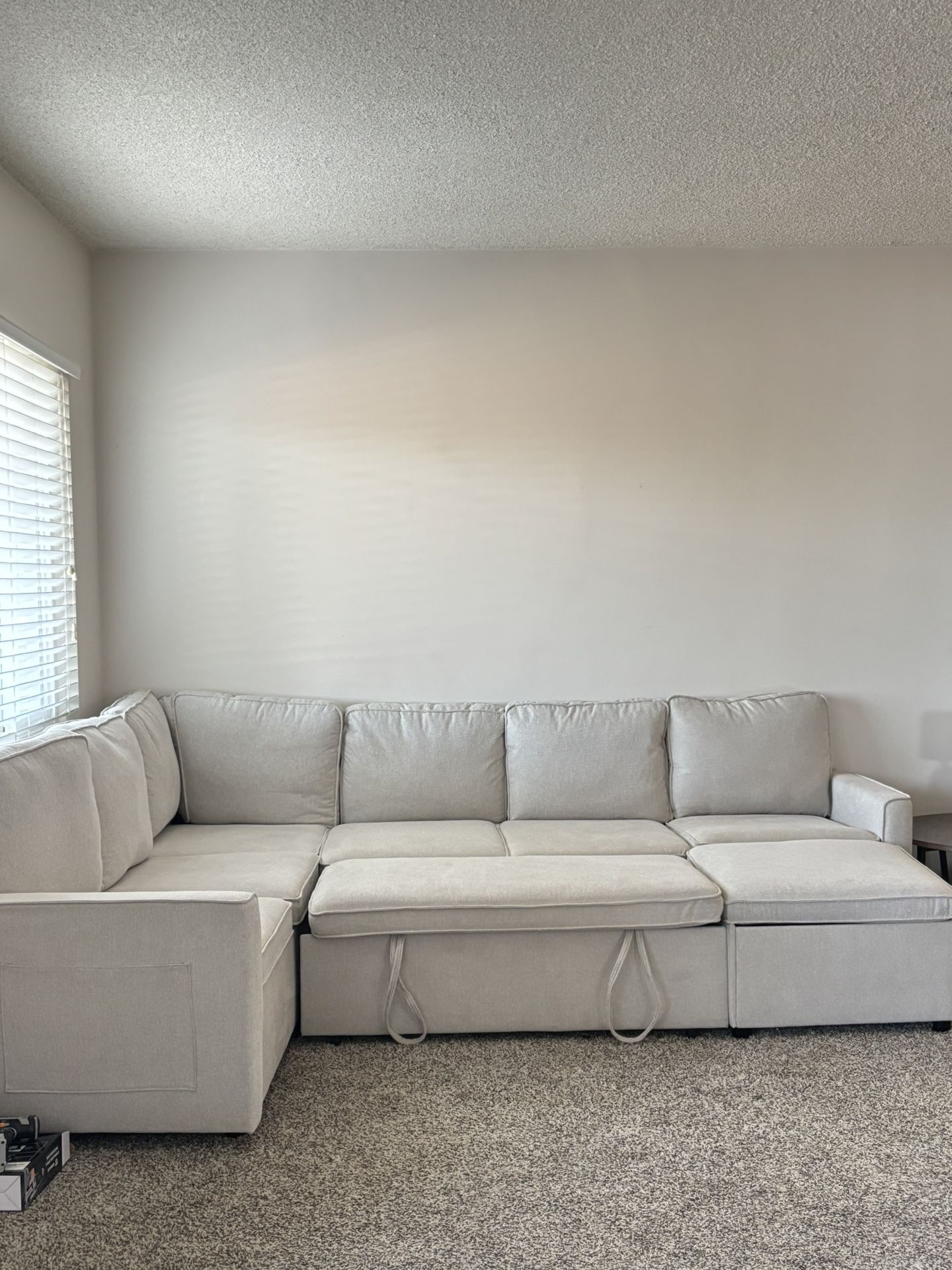 Nice Big Sleeper Sectional Couch Like New