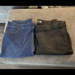 Two 2X Pants 