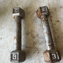 3 Lb Dumbbell Pair 