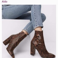 Aldo 8 1/2 