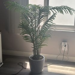 Faux Plant
