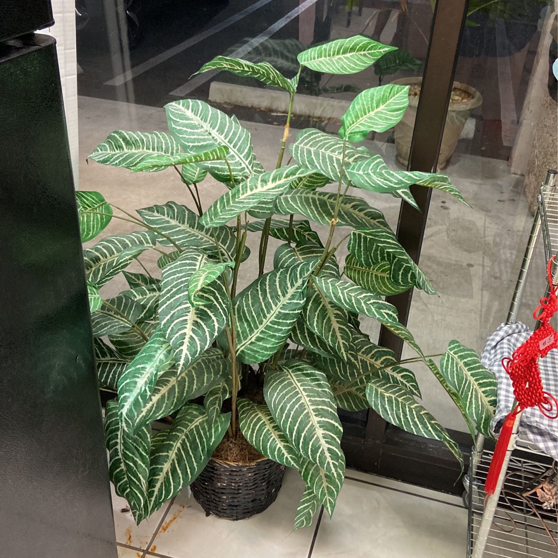 Fake plant 