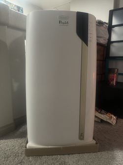 Delonghi Pinguino Air Conditioner