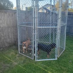 Entry Gates Panels Bird Or Even A Spouse Enclosures 