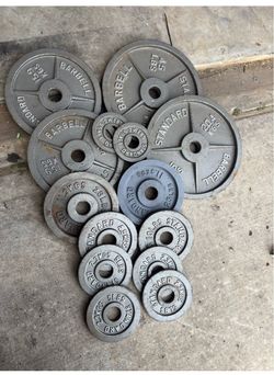 Olympic weights plates 255lbs total + rack
