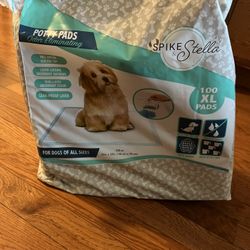Potty Pads Xl