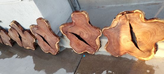Uniquely Shaped Live Edge Mesquite Rounds
