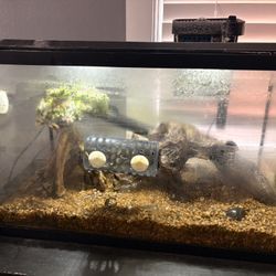 10 Gal Fish Tank