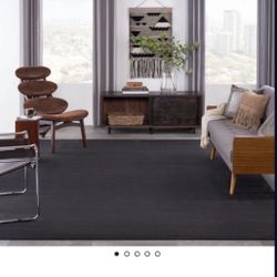 New Area Rug