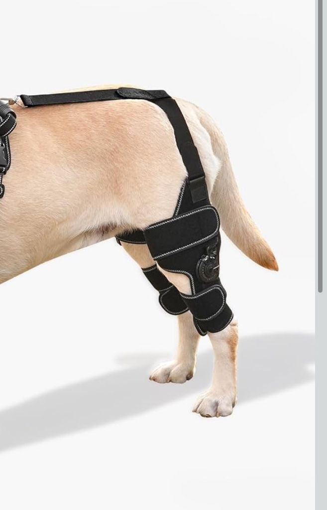 Dog Knee Brace with Adjustable Support – ACL CCL Tear Recovery