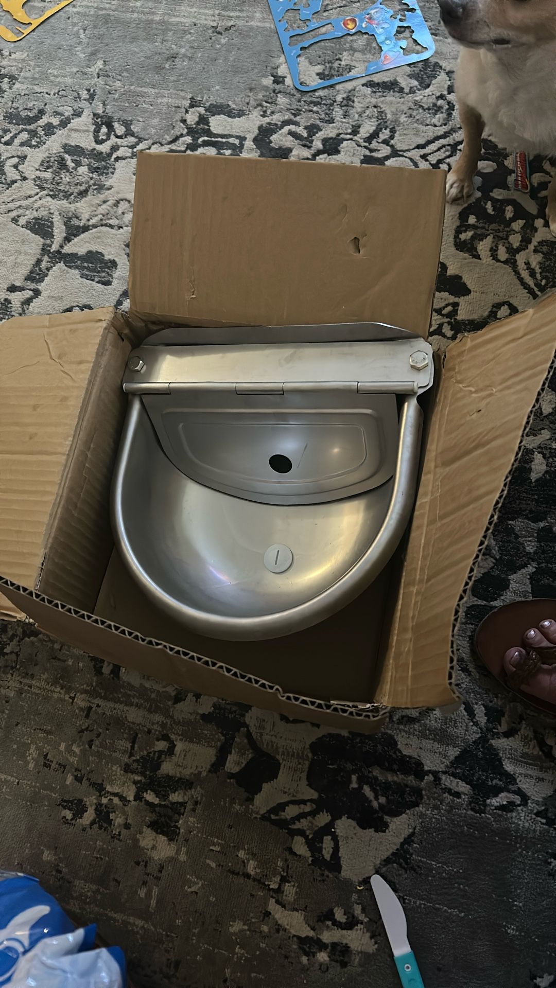 Automatic Dog Water System