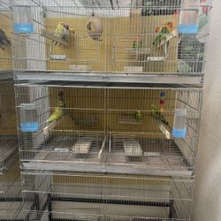 Bird cage and accessories 