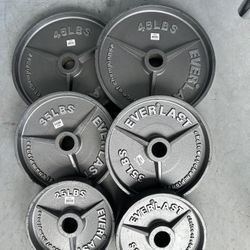 OLYMPIC WEIGHT PLATES 