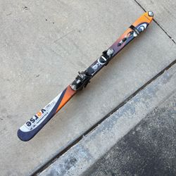 Salomon Ski