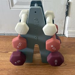 6 dumbbells and stand