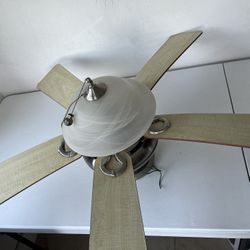 2 Ceiling Fans