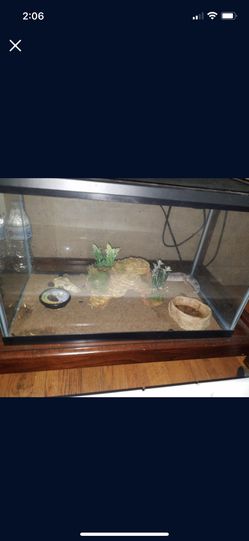 tank, Bowl, House Reptile