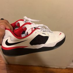Nike SB Ishod 