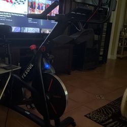 YESOUL EXERCISE BIKE