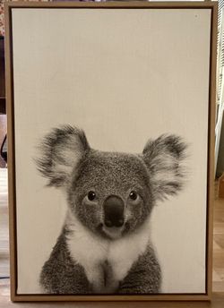 Koala Framed Picture