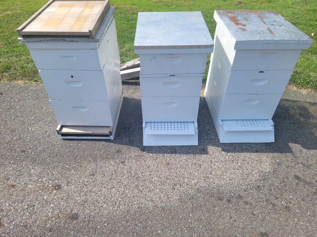 Beehives, 3 Complete, With Extractor