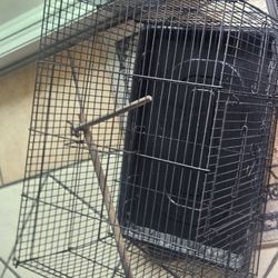 Birds Cage