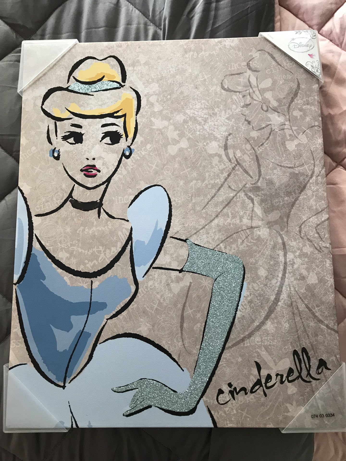 New Disney Cinderella canvas print