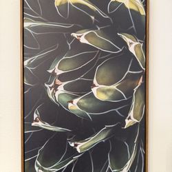 Desert Green Succulent Framed Wall Art Print 16” x 24”