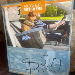 Excellent Condition Booster Seat