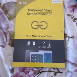 iPad Screen Protector