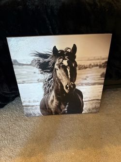 Canvas Wall Art - Horse Portrait