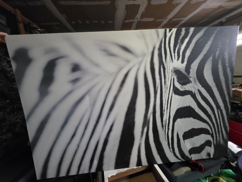 Zebra Canvas Print