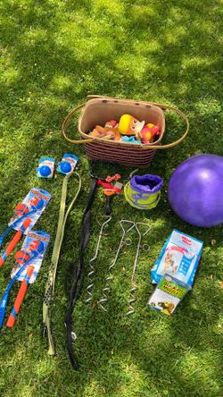 Dog supplies