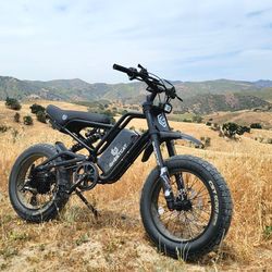 Ghostcat F3X Pro Electric Bike