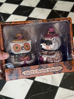 Owl & raccoon salt and pepper shakers