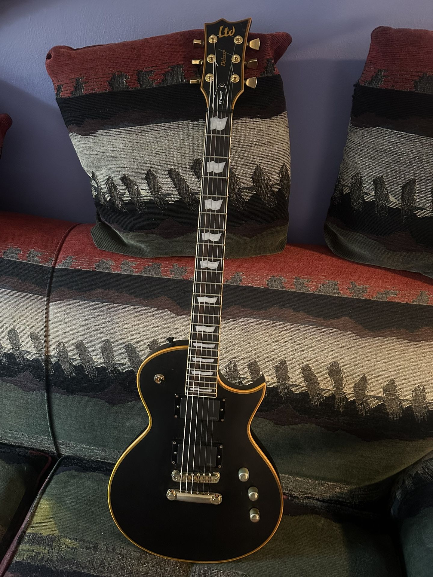 ESP LTD EC1000 (Vintage Black) w/hard shell Gator Case