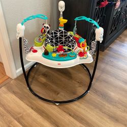 Fisher Price Jumperoo Jumper Toy