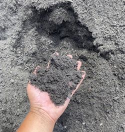 BULK LANDSCAPE MATERIAL - TOP SOIL ($50 per cubic yard + Delivery)