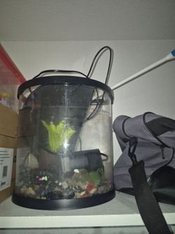 Fish Tank