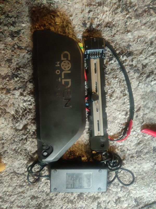 52V 21 AH LG Golden Motor Ebike battery