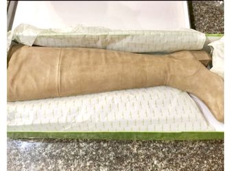 Size 8.5 women’s Sam Edelman knee high suede boots brand new