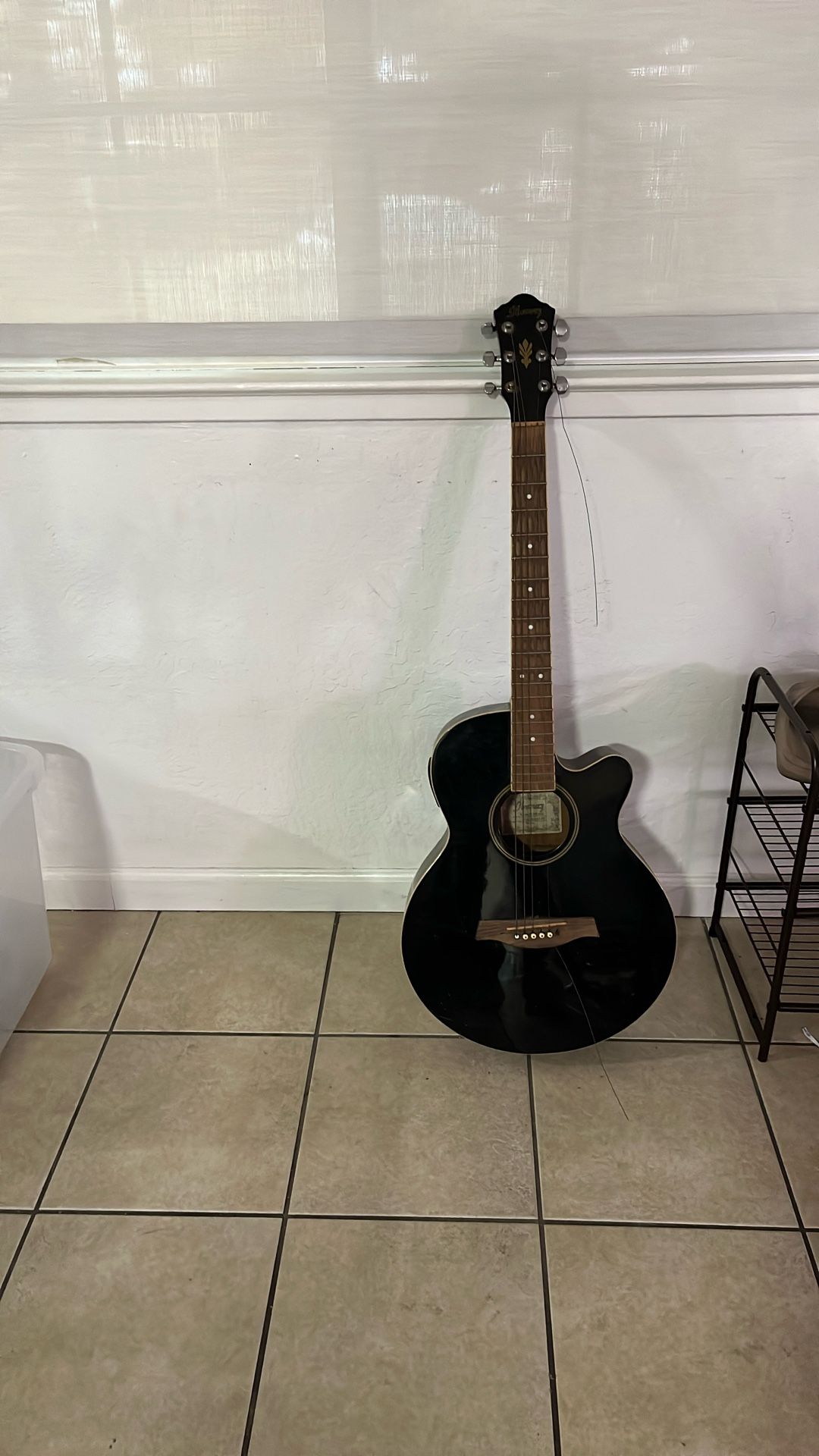 Ibanez AEG series acoustic-electric model