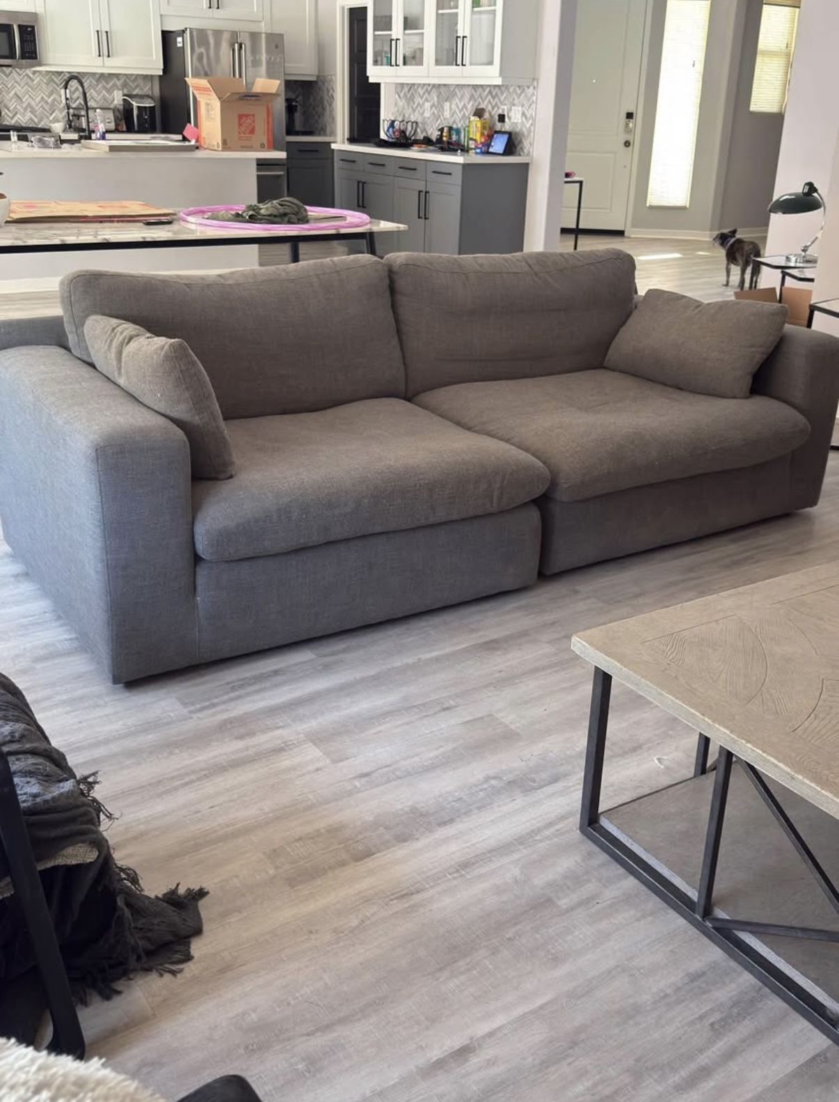 Set of two Wayfair grey couches.